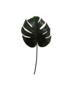 Large Philodendron Leaf