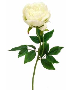 Peony Spray Ivory