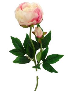 Peony Spray Pink