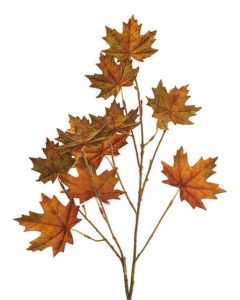 Maple Leaf Spray Amber 71cm