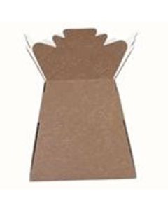 Living Vase Natural Kraft Box of 30