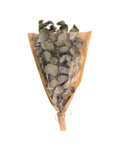 55cm Eucalyptus Syneria 75 Grams Green