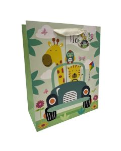 Large Juvenile Gift Bags Pk6 Tulip