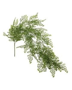 80cm Maidenhair Vine Green