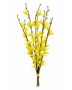 52cm Forsythia x3 Hand Tied