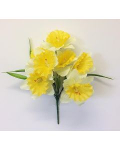 Daffodil Bush