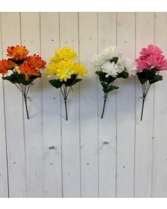 Crysanthemum Bush 4 Colours Assorted