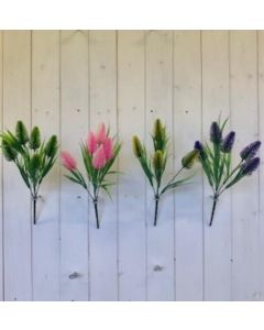 Foxtail Bush 4 Colours Assorted