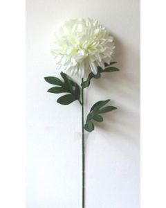 Single Pompom Cream