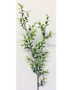 Single Ruscus Spray 119cm