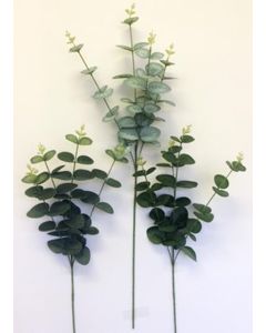 Single Eucalyptus Stem 68cm
