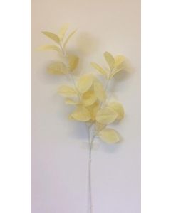 Single Foliage Cream