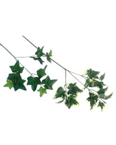 Single Ivy Stem (Florelle)