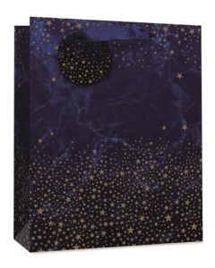 Medium Gift Bags Pack of 6 Simon Elvin