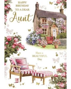 Aunt C50 Pk6 Xpress Yourself