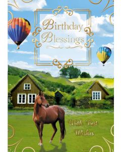 Birthday Blessings C50 Pk6 Xpress Yourself