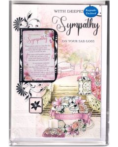 Sympathy Wife C75 Pk6 Xpress