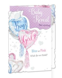 Gender Reveal C50 Pk6 Out of the Blue
