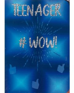 PK6 TEEN MALE C50 CARDS, NETT (457B) - OTB-17457B/6