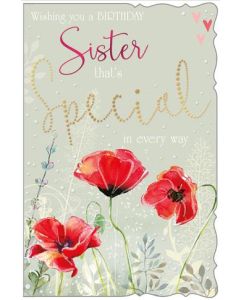 Sister C75 Pk6 Out of the Blue