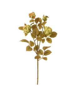 64cm Dried Image Cabbage Rose Spray Green