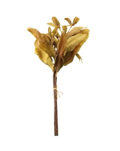 50cm Dried Image Leaf Bundle Green
