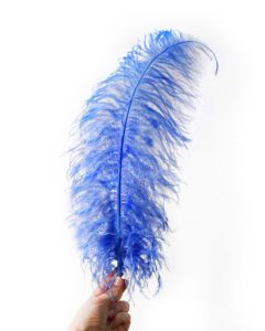 Light Blue Ostrich Style Feathers x10 40-60cm approx.