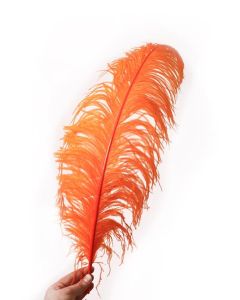 Orange Ostrich Style Feathers x10 40-60cm approx.