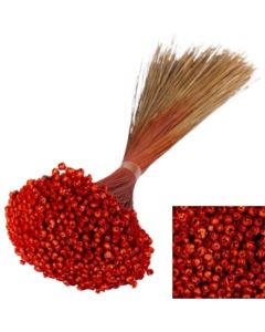Glixia Flower, Orange, 100g Bunch