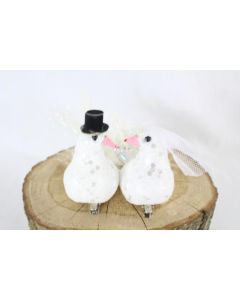 Mr & Mrs White Wedding Doves