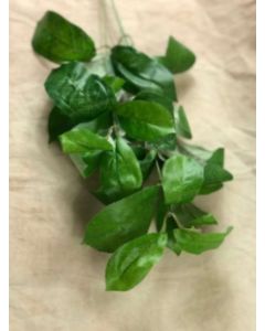 Laurel Leaf Spray