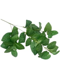 70cm Calathea Leaf Spray Green & Cream Weddings & Flowercraft