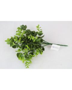 Eucalyptus Green