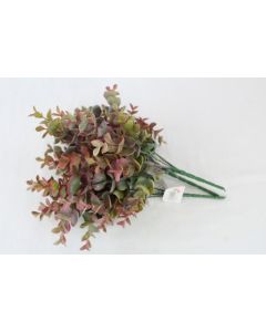 Eucalyptus Green/Pink