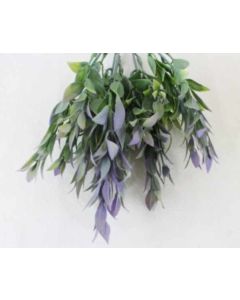Ruscus Leaf Bunch Green/Purple