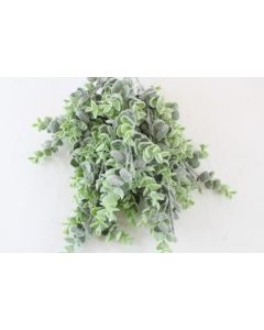 Frosted Eucalyptus Spray Green