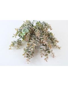 63cm Frosted Eucalyptus Spray