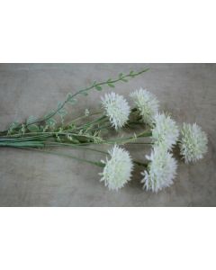 Allium Spray Ivory