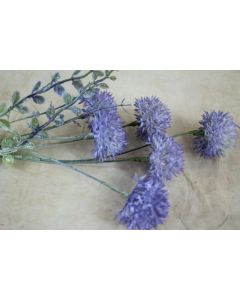 Allium Spray Lavender