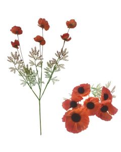 Poppy Spray Orange