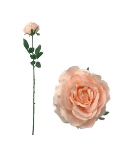 Blooming Rose Blush Pink