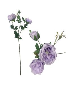 English Rose Spray with Buds Lilac