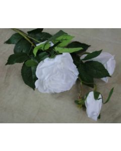 Triple Open Rose Spray White 76cm