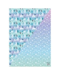 Northern Lights Flat Gift Wrap 25Pk Partisan