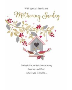 Mothering Sunday Mothers Day Pk6 C75 Regal