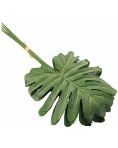 Selloum Pick Bundle Green Sage Decor