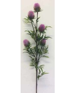 Single Thistle Stem Fuchsia