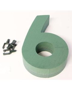 Number 6 Foam Backed Frame