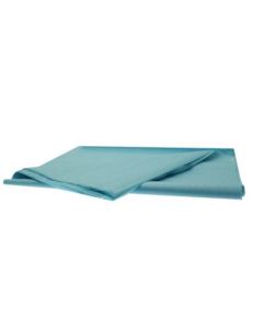 20X30" L/Blue Tissue