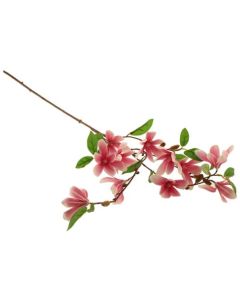 Magnolia Spray Pink Sage Decor